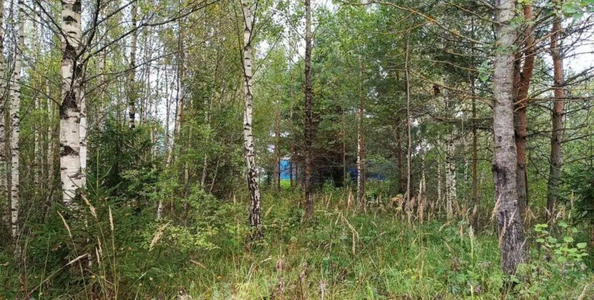 Купить землю, земельный участок за 230 000 рублей на Семеновское с