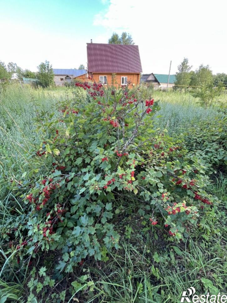 Коттедж/дом Ивановский район