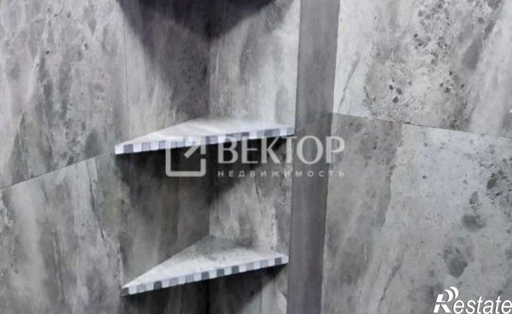 2-комн квартира ул Сергея Киселева, 3,  д. 3