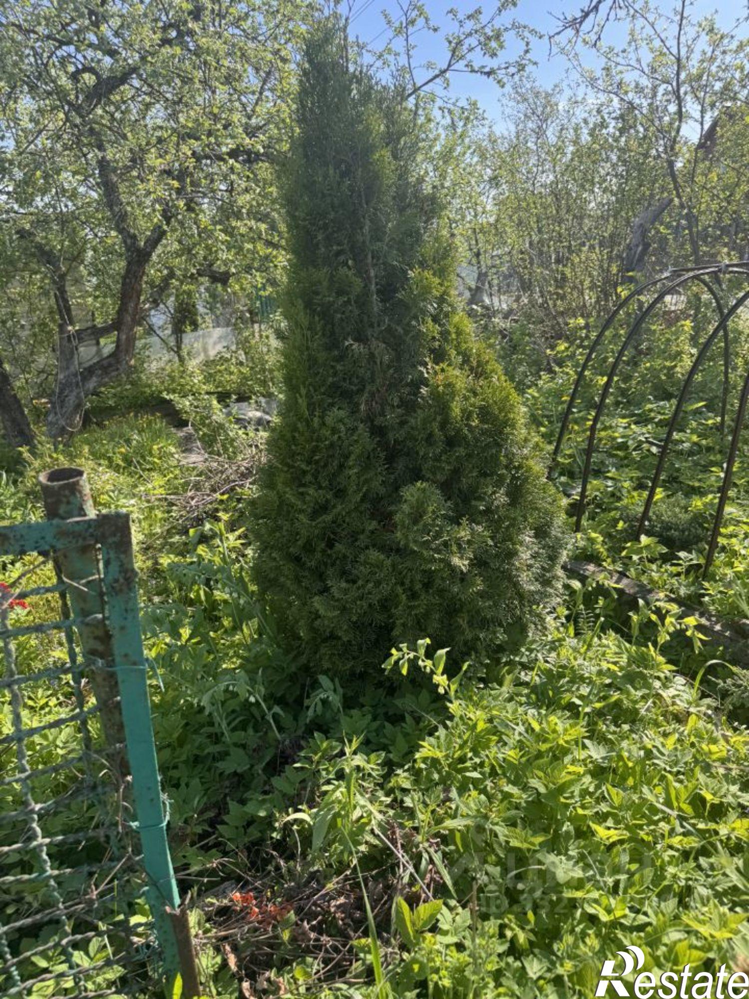 Купить дачу, дом, коттедж за 450 000 рублей