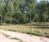 земля 8.1 сот , 26