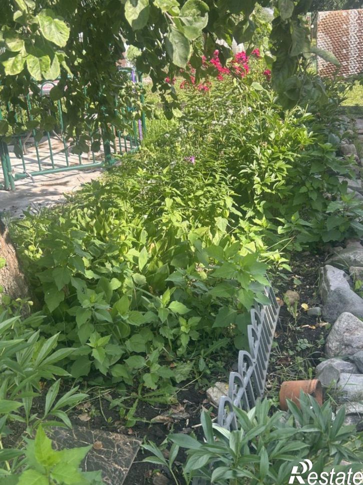Коттедж/дом