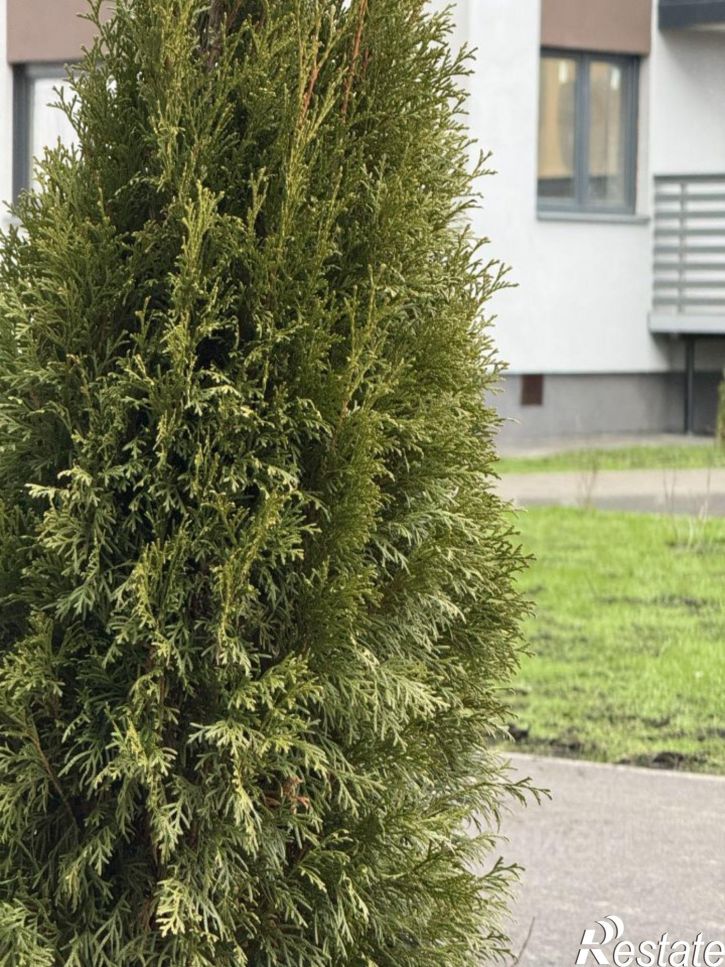 1-комн квартира в новом доме деревня Дерябиха, 83