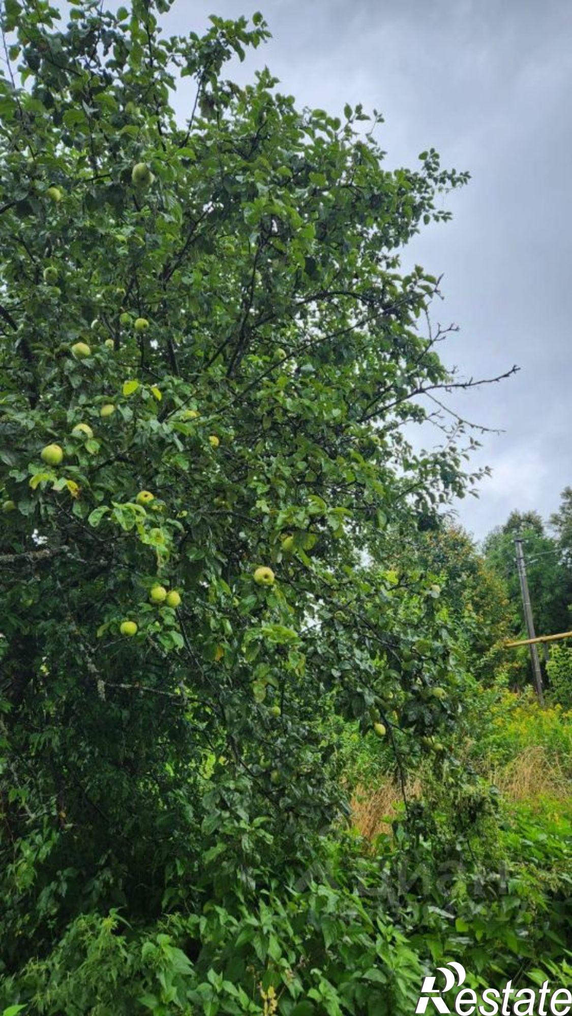 Купить дачу, дом, коттедж за 1 700 000 рублей на посёлок Лух