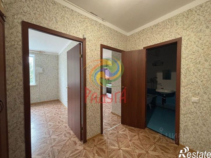 1-комн квартира деревня Дерябиха, 53