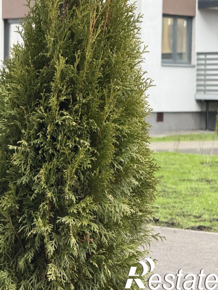 1-комн квартира в новом доме деревня Дерябиха, 83